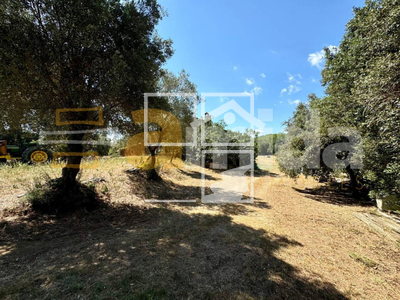 Local en Llagostera Girona