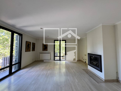 Local en Olot Girona