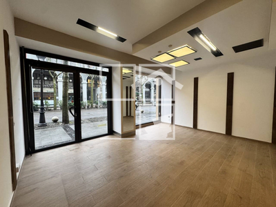 Local en Olot Girona